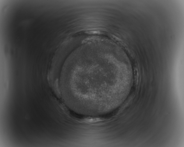 X0000087560712200705251800