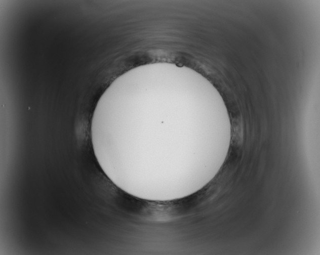 X0000087560713200705251800