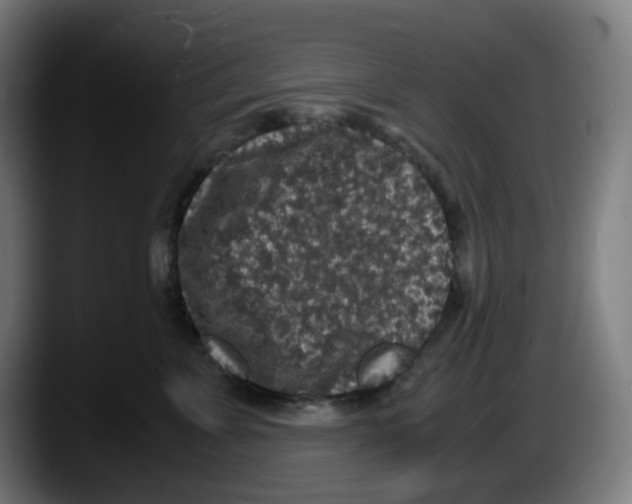 X0000087560715200705251800