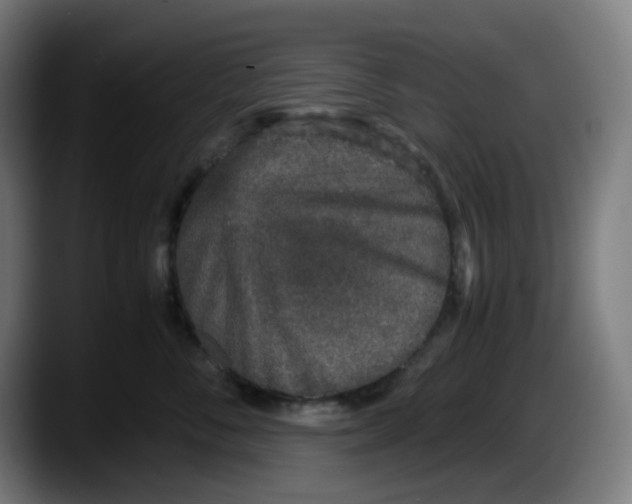 X0000087560716200705251800