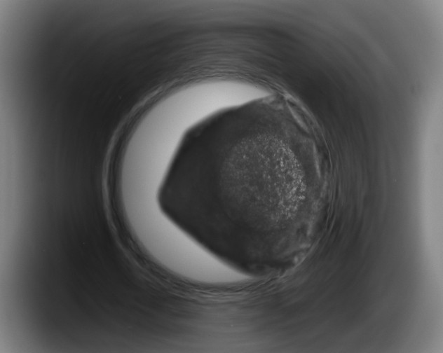X0000087560722200705251759