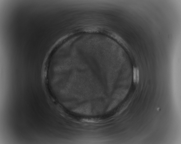 X0000087560723200705251759