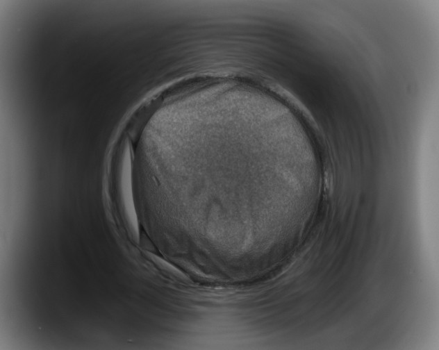 X0000087560724200705251759