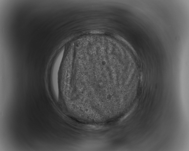 X0000087560725200705251759