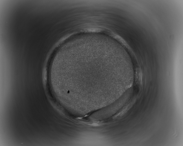 X0000087560726200705251759