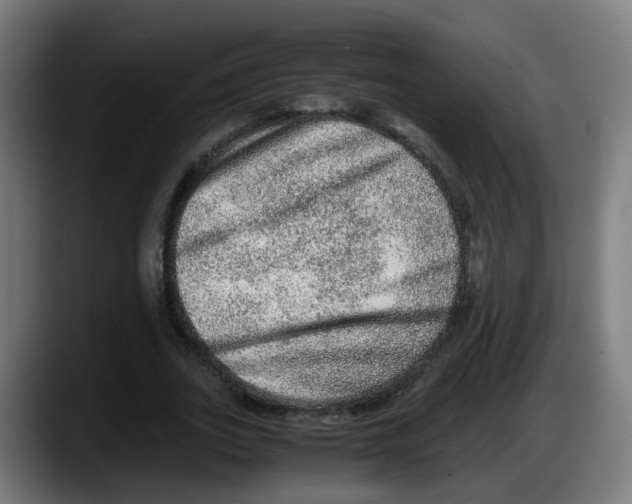 X0000087560727200705251759
