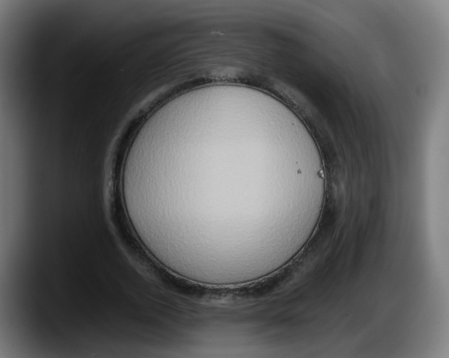 X0000087560728200705251759