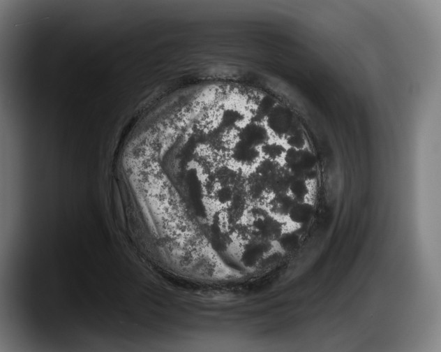 X0000087560729200705251759
