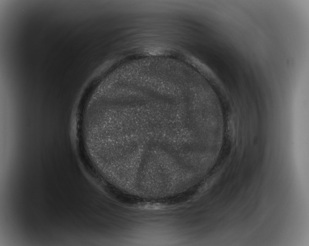 X0000087560730200705251759