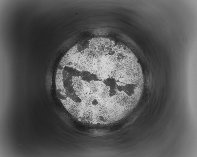X0000087560733200705251759