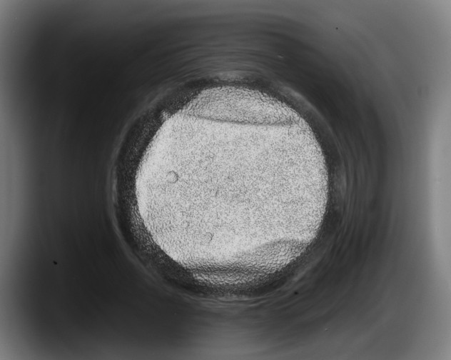 X0000087560734200705251759