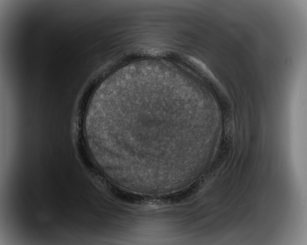X0000087560736200705251800