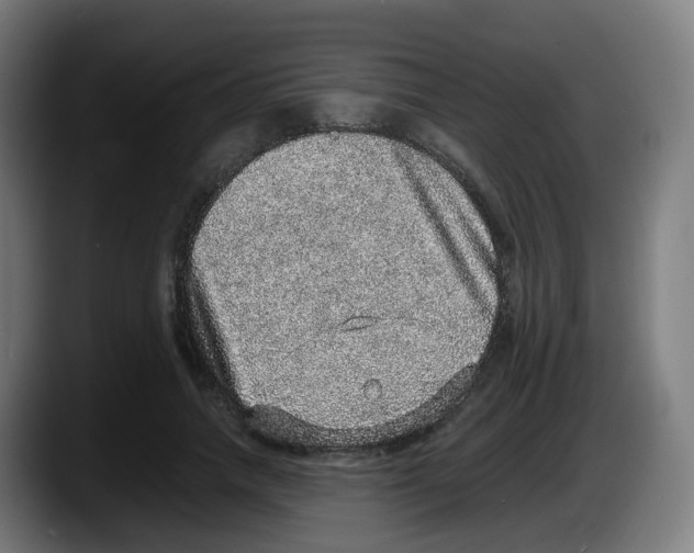 X0000087560738200705251800