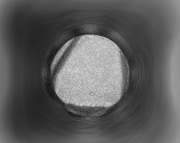 X0000087560739200705251800