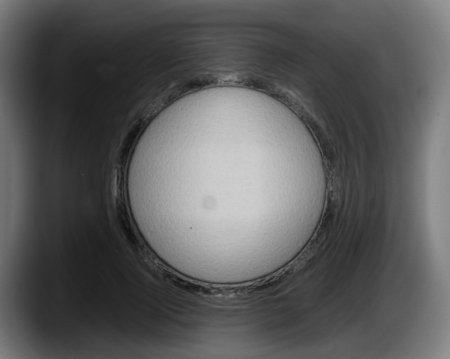 X0000087560740200705251800