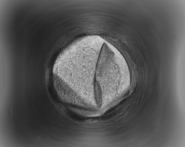 X0000087560742200705251800