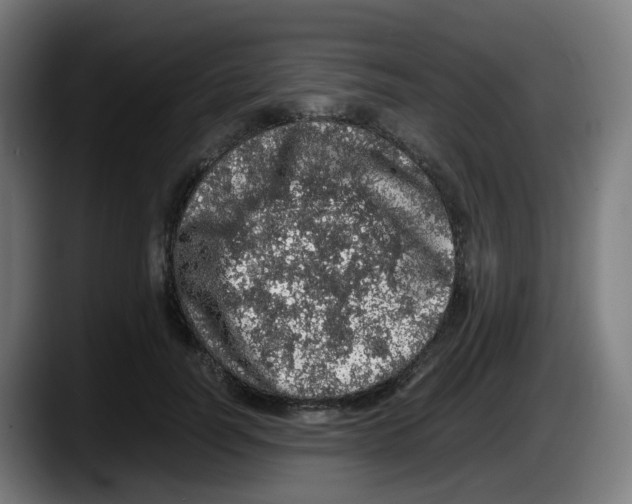 X0000087560746200705251800