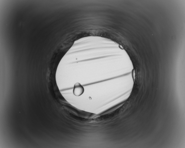 X0000087560750200705251800