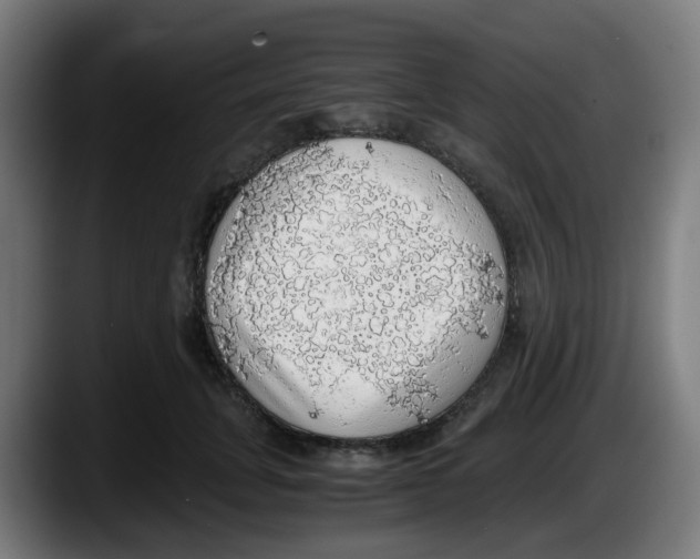 X0000087560751200705251800
