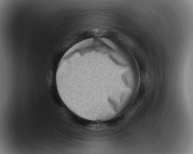 X0000087560752200705251800