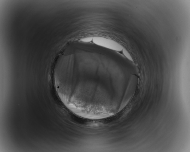 X0000087560754200705251800
