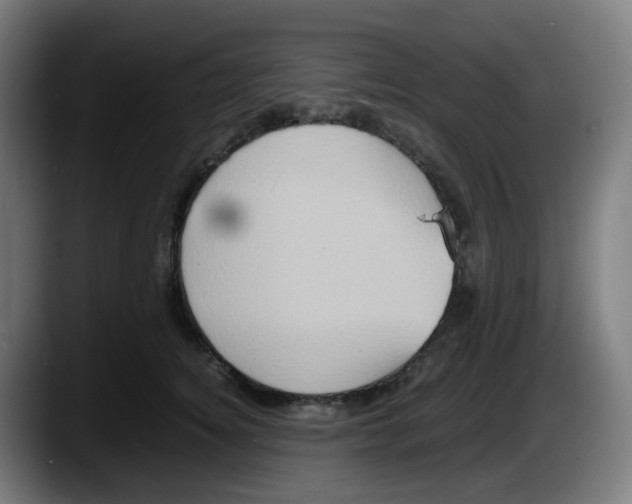 X0000087560756200705251800