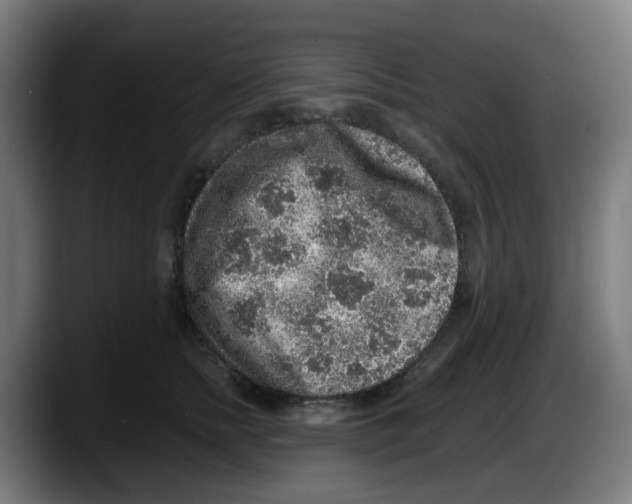 X0000087560758200705251800