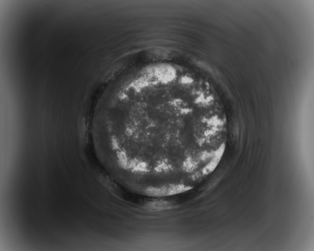 X0000087560759200705251800
