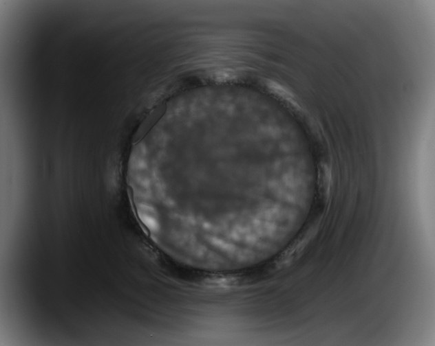 X0000087560760200705251800