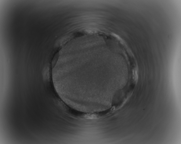 X0000087560762200705251800
