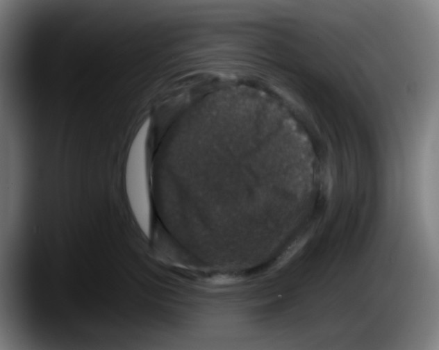 X0000087560766200705251800