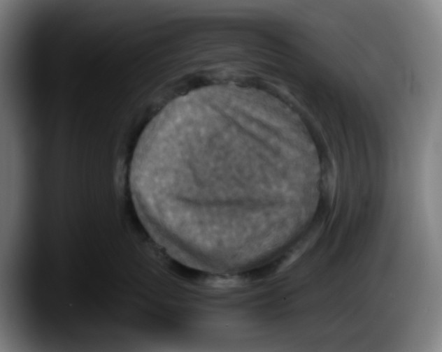 X0000087560767200705251800