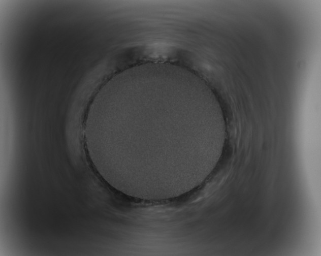 X0000087560769200705251759