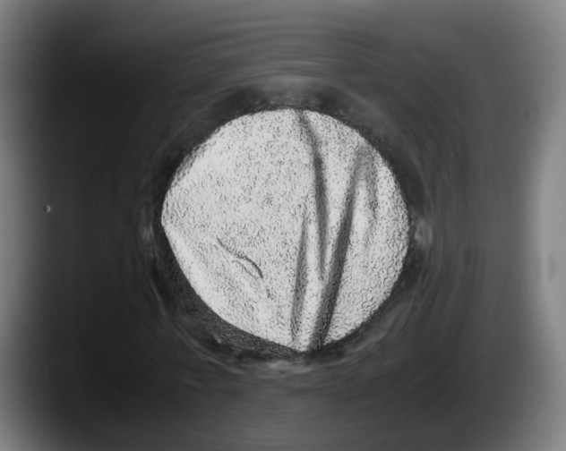 X0000087560771200705251759