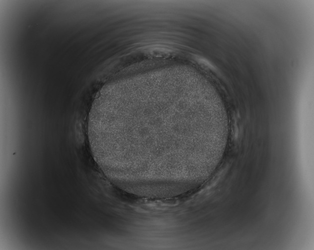 X0000087560774200705251759