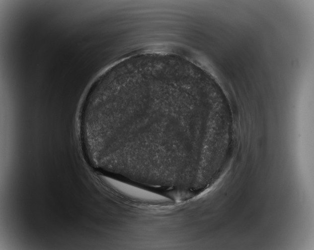 X0000087560779200705251759