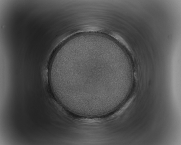 X0000087560781200705251759