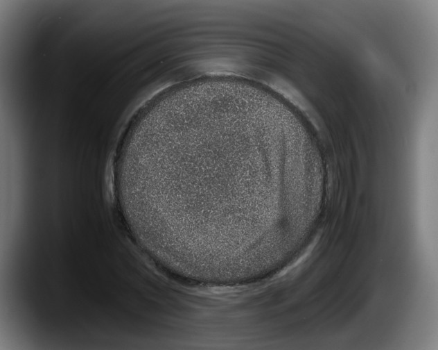 X0000087560782200705251759