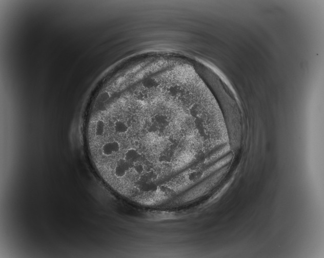 X0000087560783200705251759