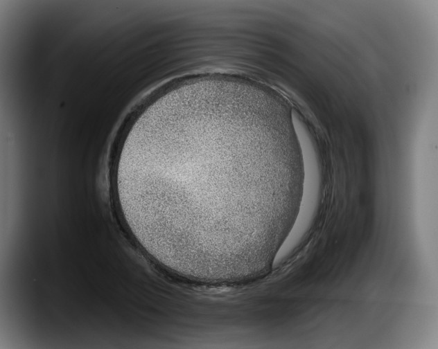 X0000087560784200705251759