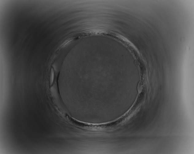 X0000087560785200705251759