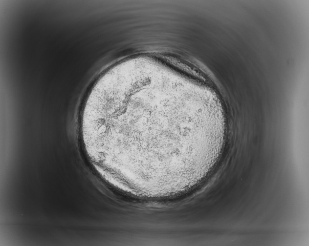 X0000087560787200705251759