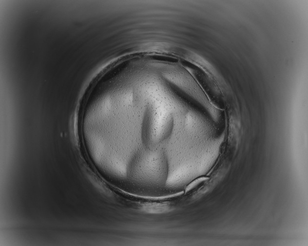 X0000087560788200705251759
