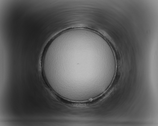 X0000087560789200705251759