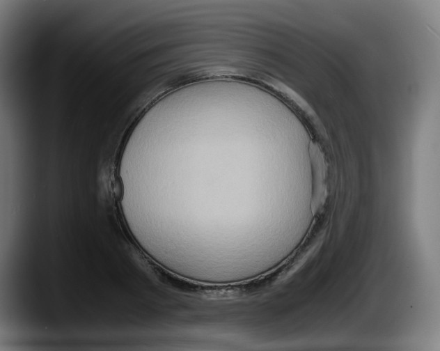 X0000087560793200705251759