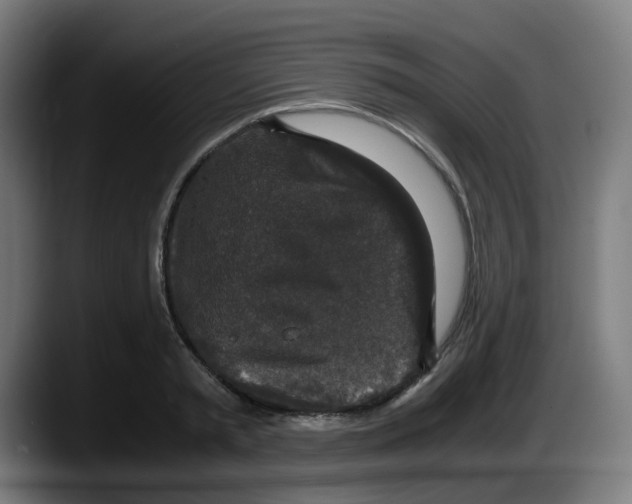 X0000087560797200705251759