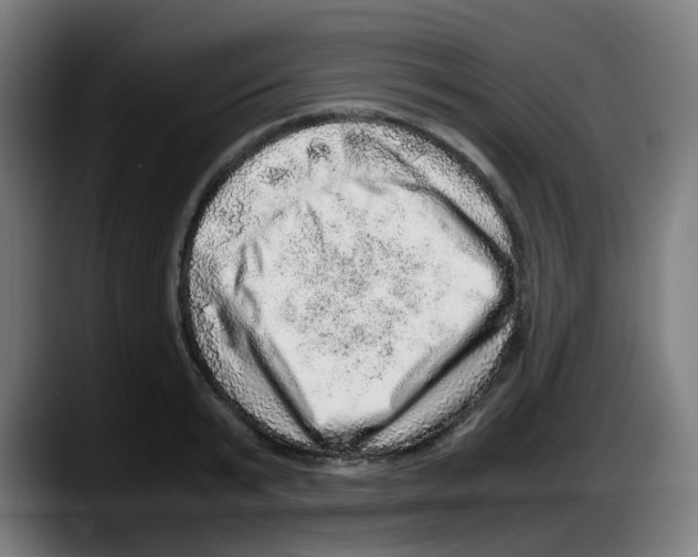 X0000087560799200705251759
