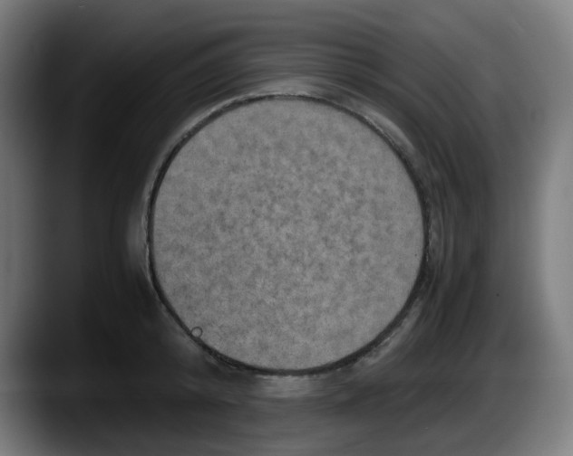 X0000087560800200705251759