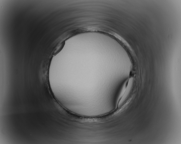 X0000087560801200705251759