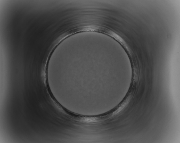 X0000087560802200705251759